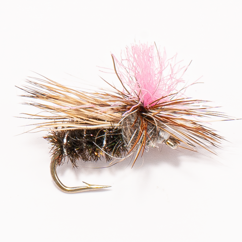 Parachute Caddis Dry Fly