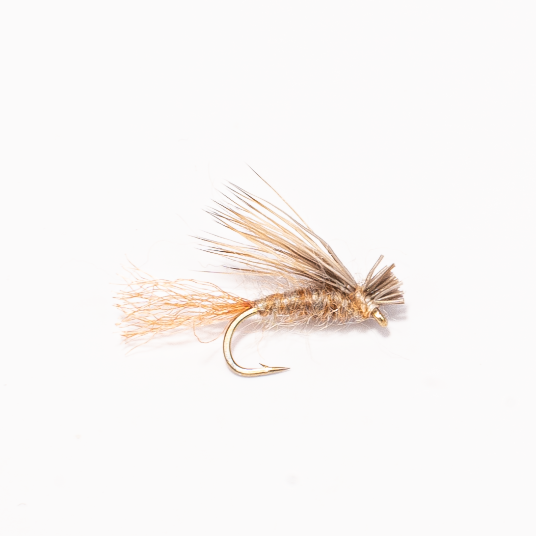 X Caddis (Caddis Emerger)