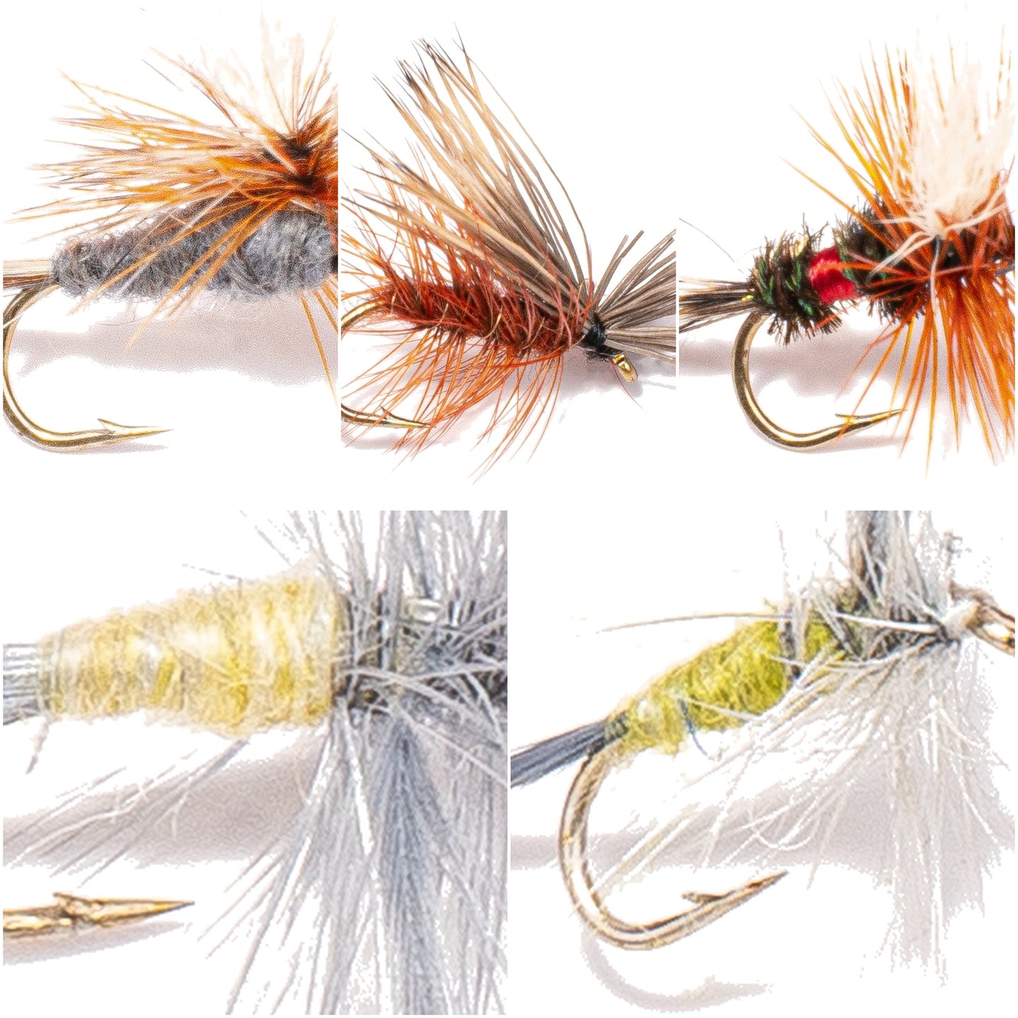 18-Pack Classic Dries - five patterns no labels v3