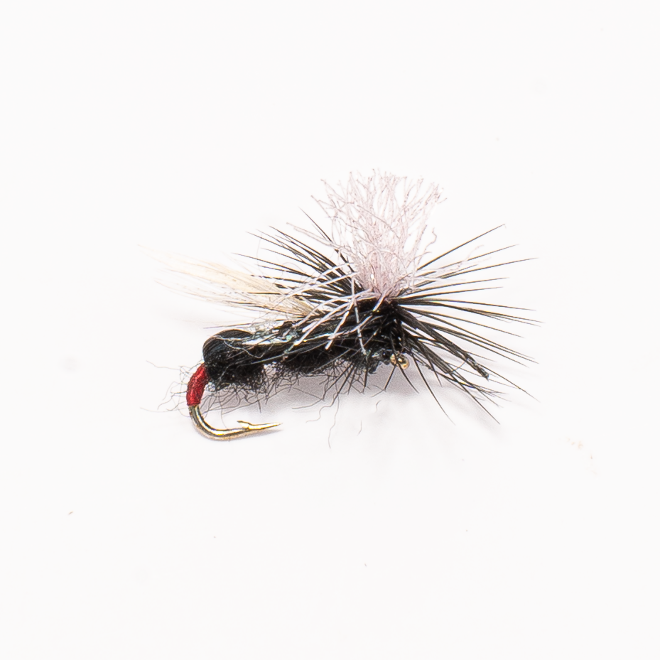 Black Ant Dry Fly (Terrestrial Attractor) for Trout & Panfish