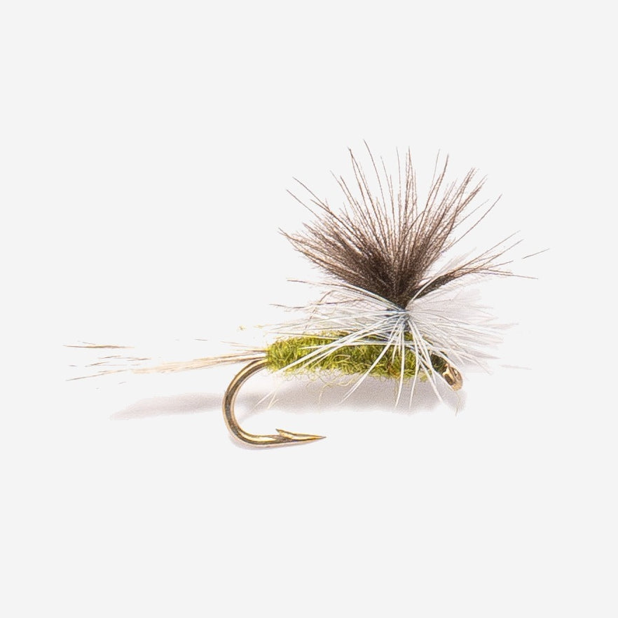 Parachute BWO