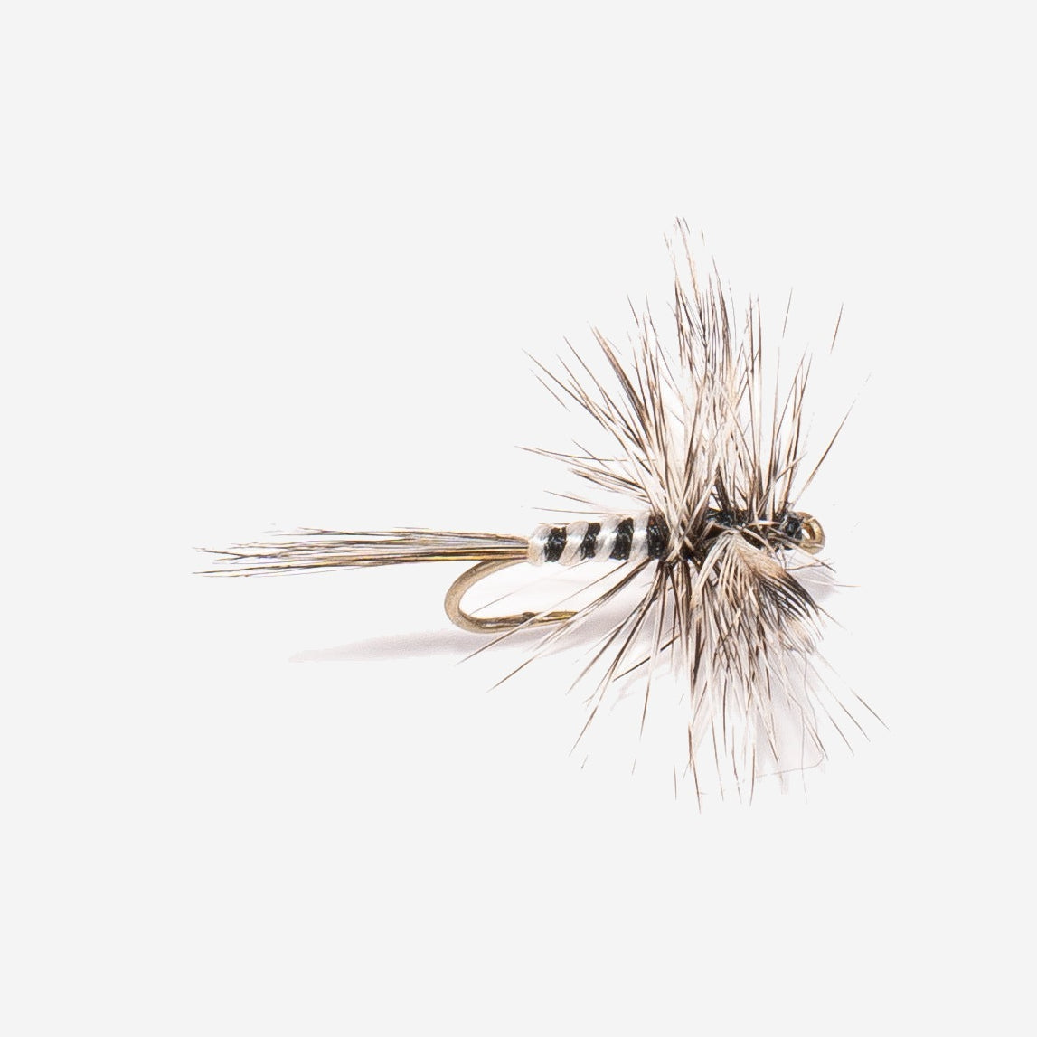 Mosquito