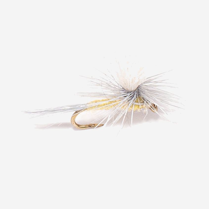 Parachute PMD