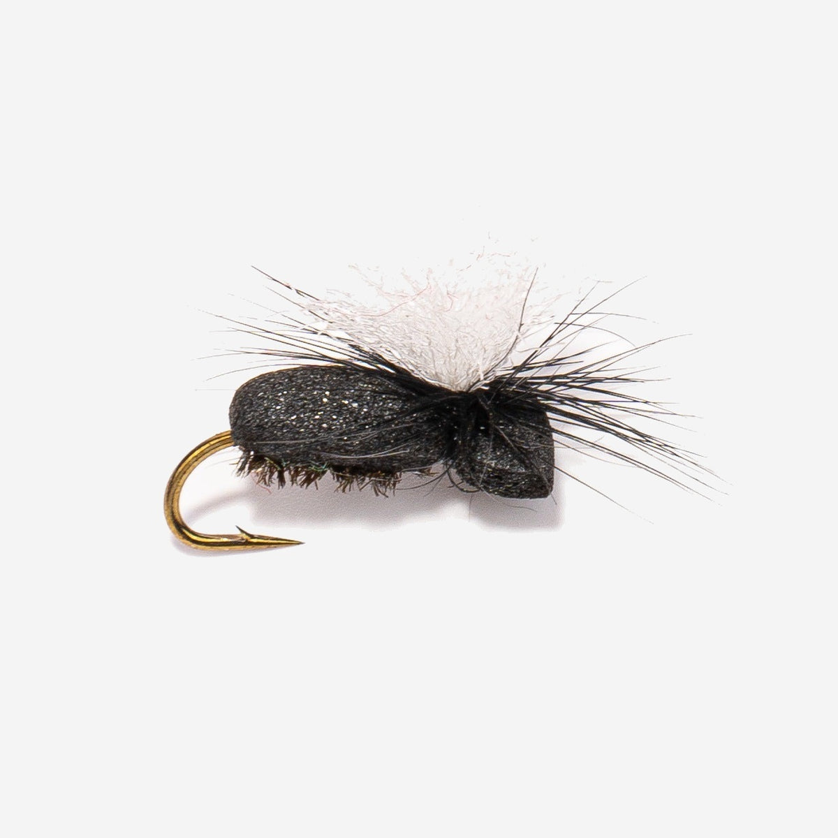 Foam Beetle