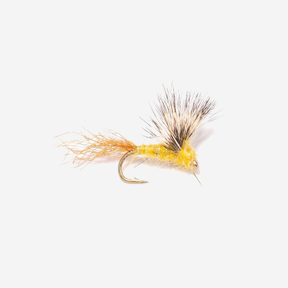 Sparkle Dun - PMD