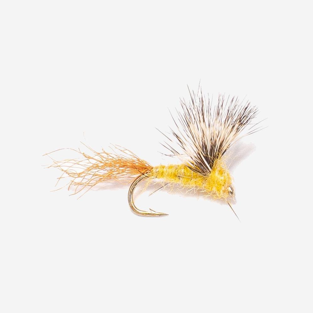 Sparkle Dun - PMD