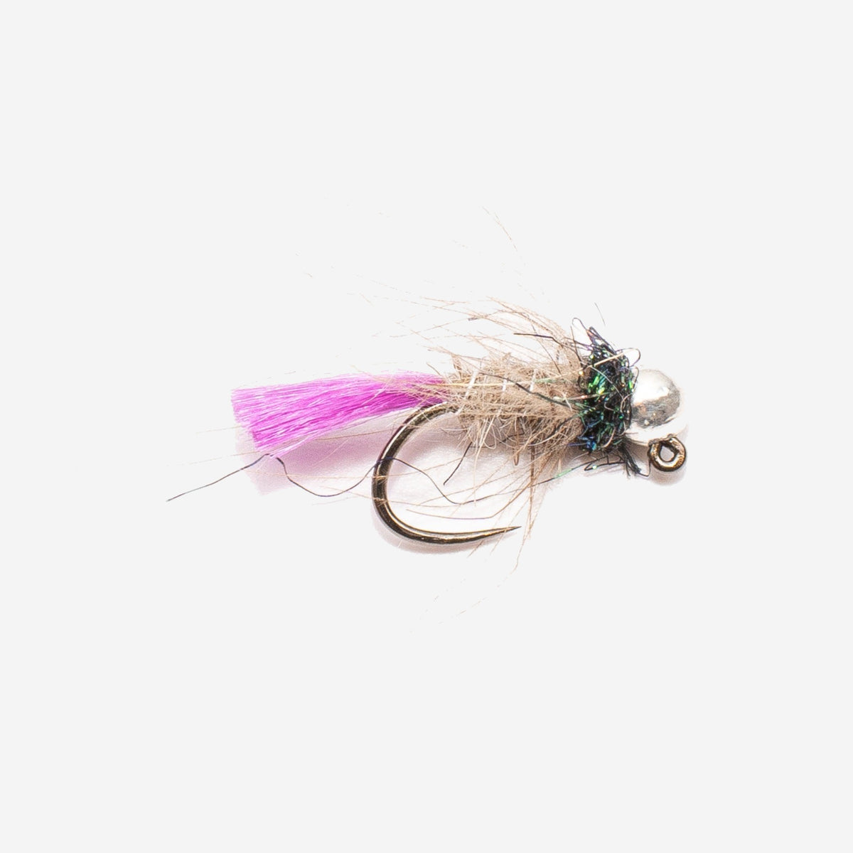 Violet Tail Jig