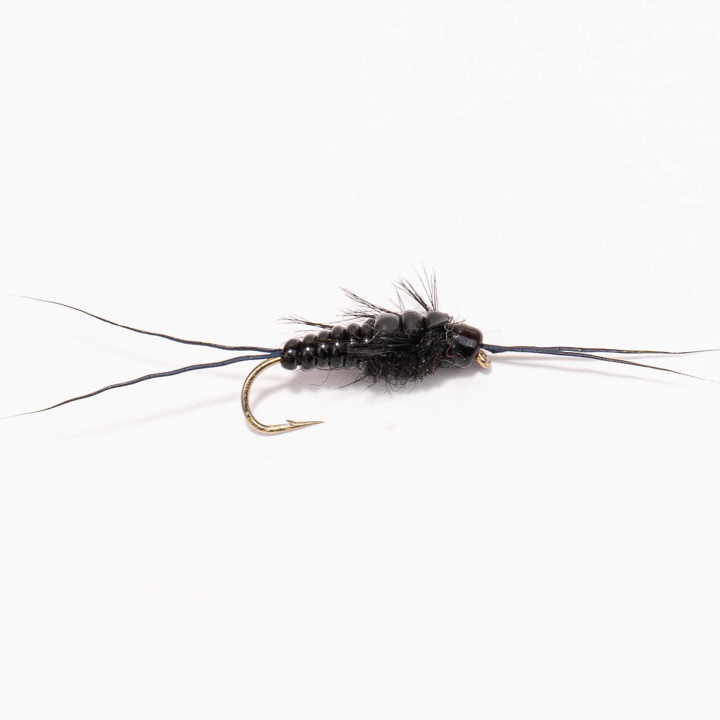 Stonefly Nymph