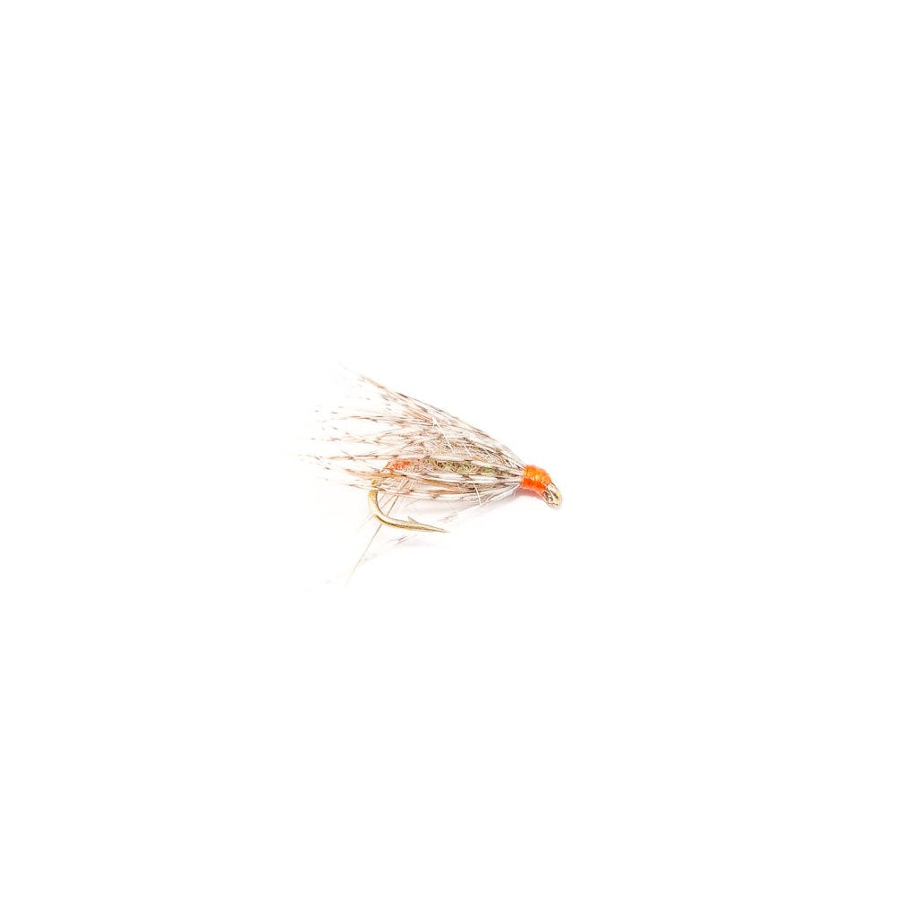 Partridge & Orange