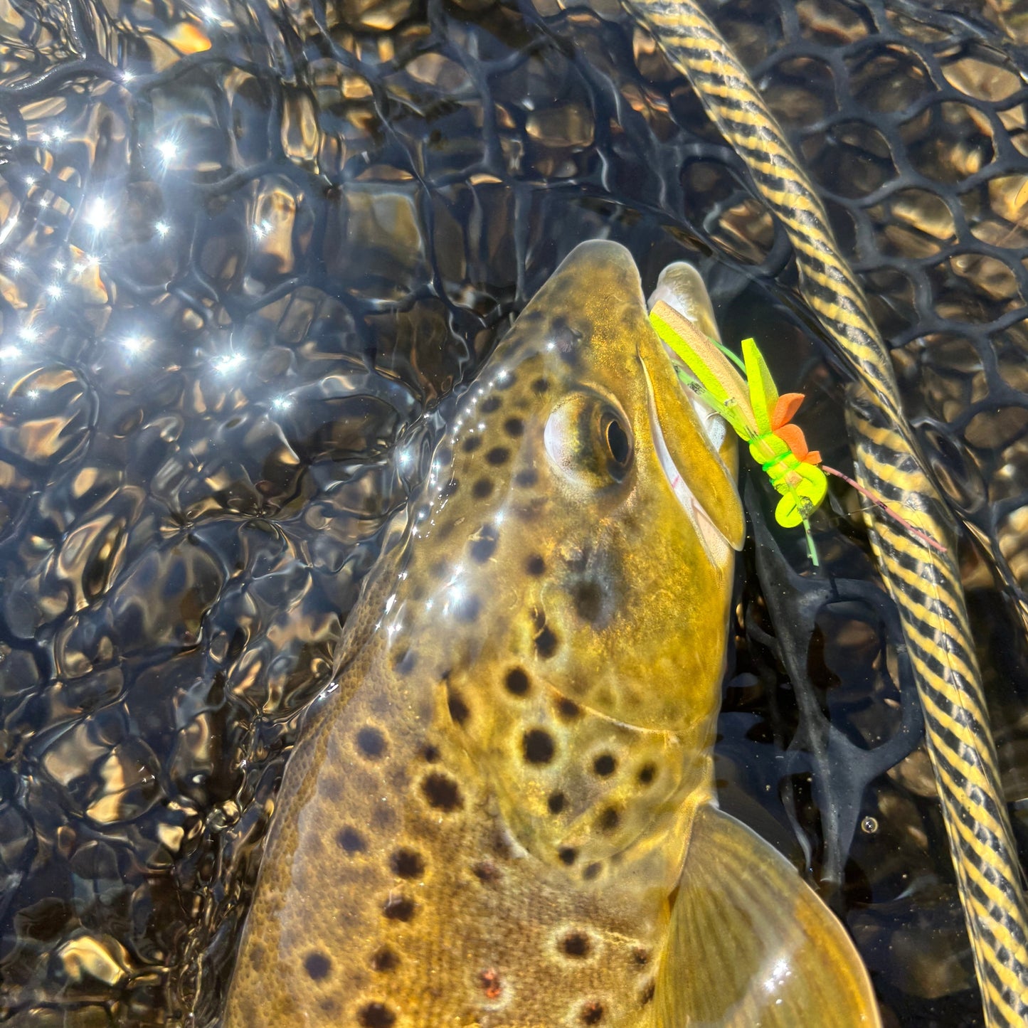 Morrish Foam Hopper