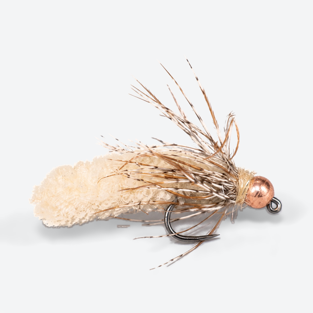 Mop Fly single fly on a pale studio background