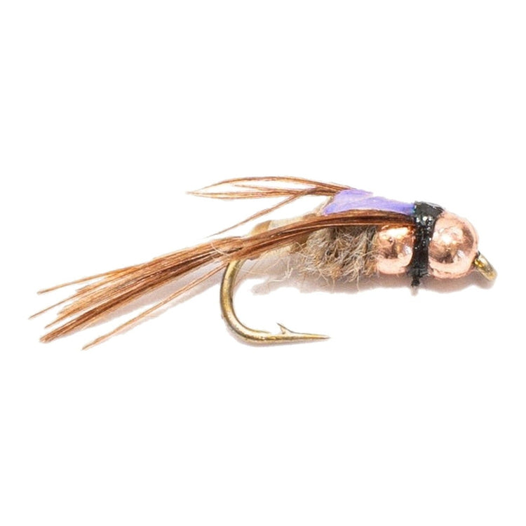 Nymphs