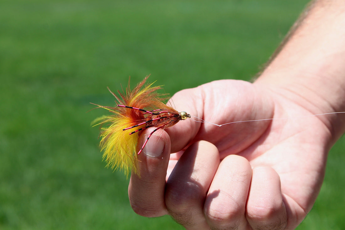 Woolly Buggers for Trout: The Complete Guide to Fly Fishing's Most Effective Streamer