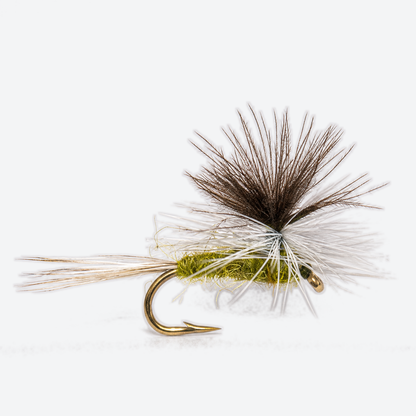 Parachute BWO