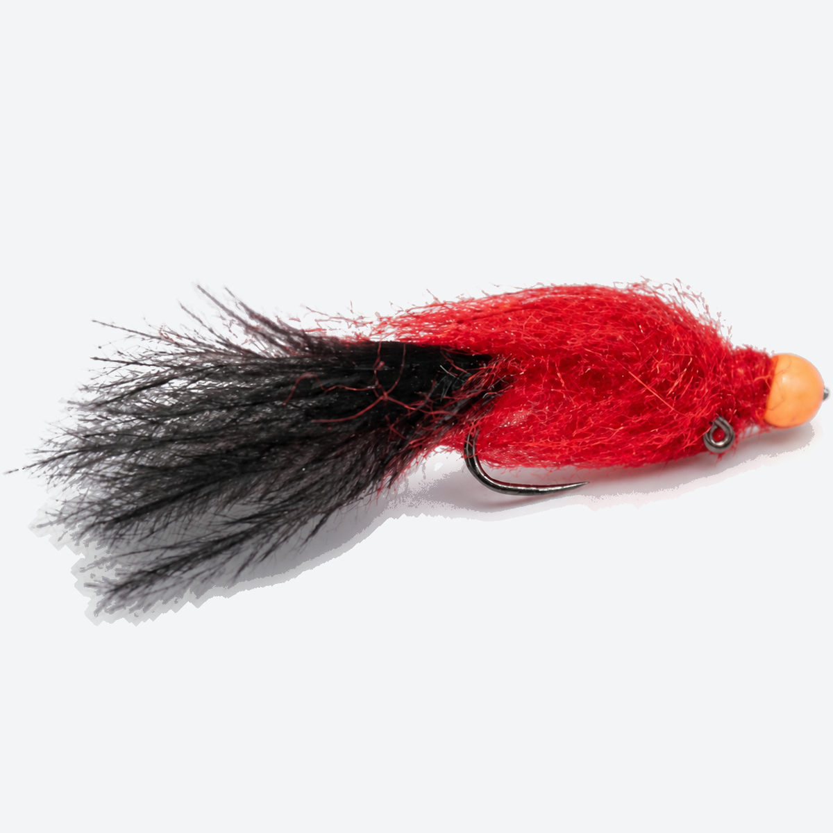 Egg Sucking Leech