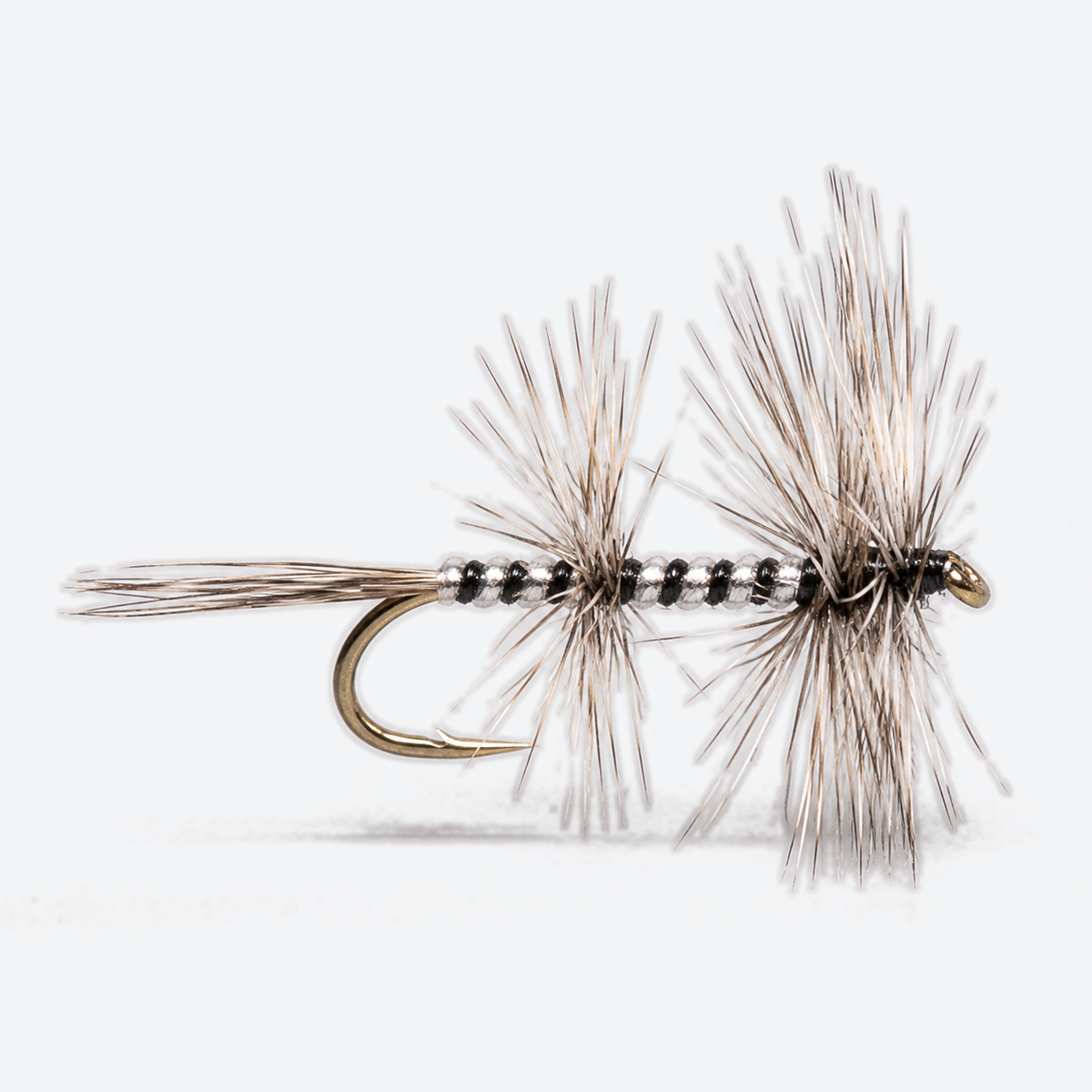 Mosquito