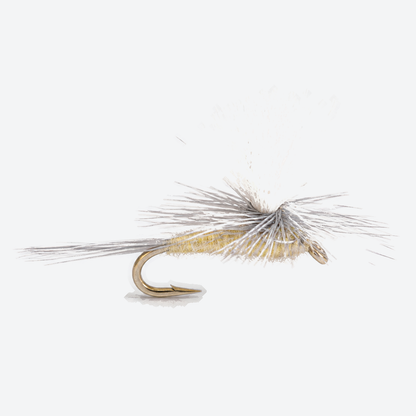 Parachute PMD