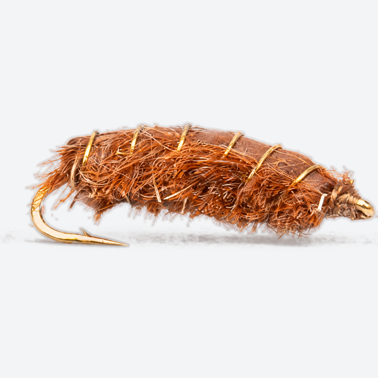 Rouse's J-Dub Sow Bug