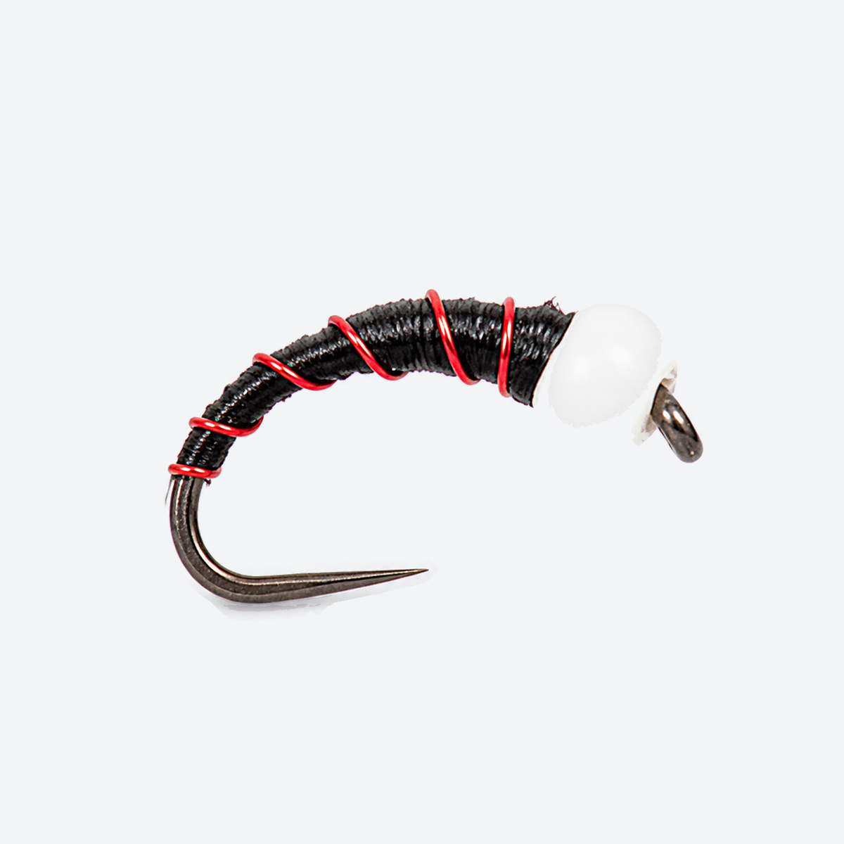 Chironomid Midge Pupa