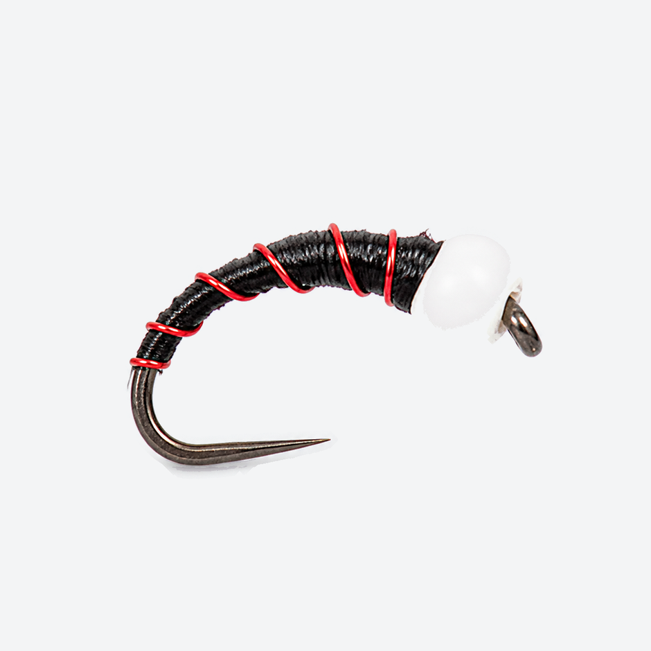Chironomid Midge Pupa