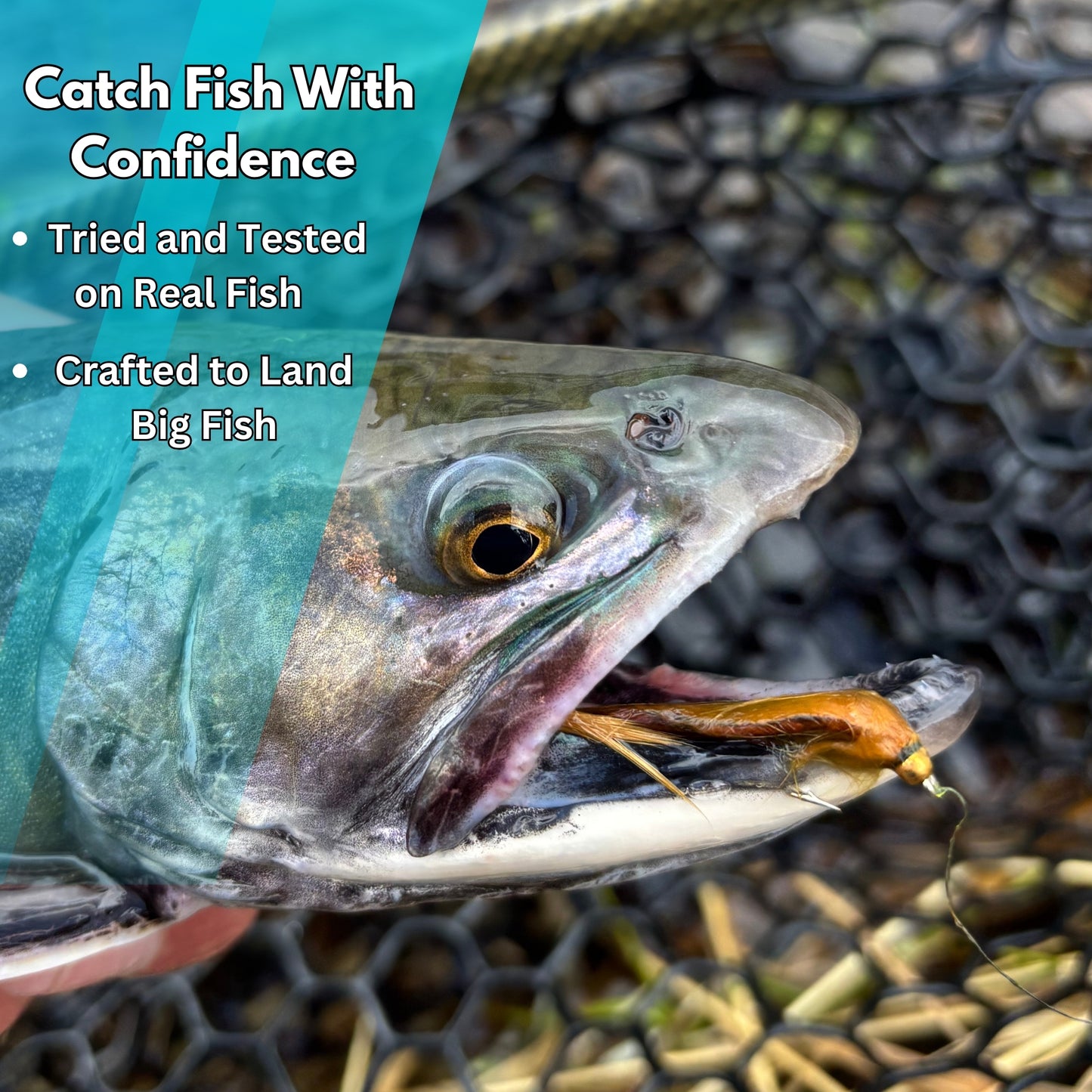 12 Pack Pine Squirrel Leech