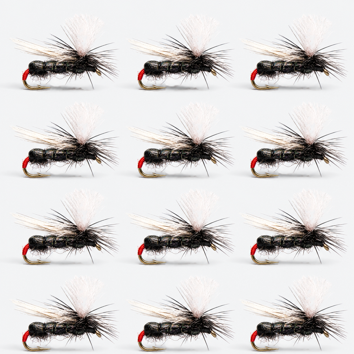 12 Pack Black Ant — 12 flies, blackant pack layout