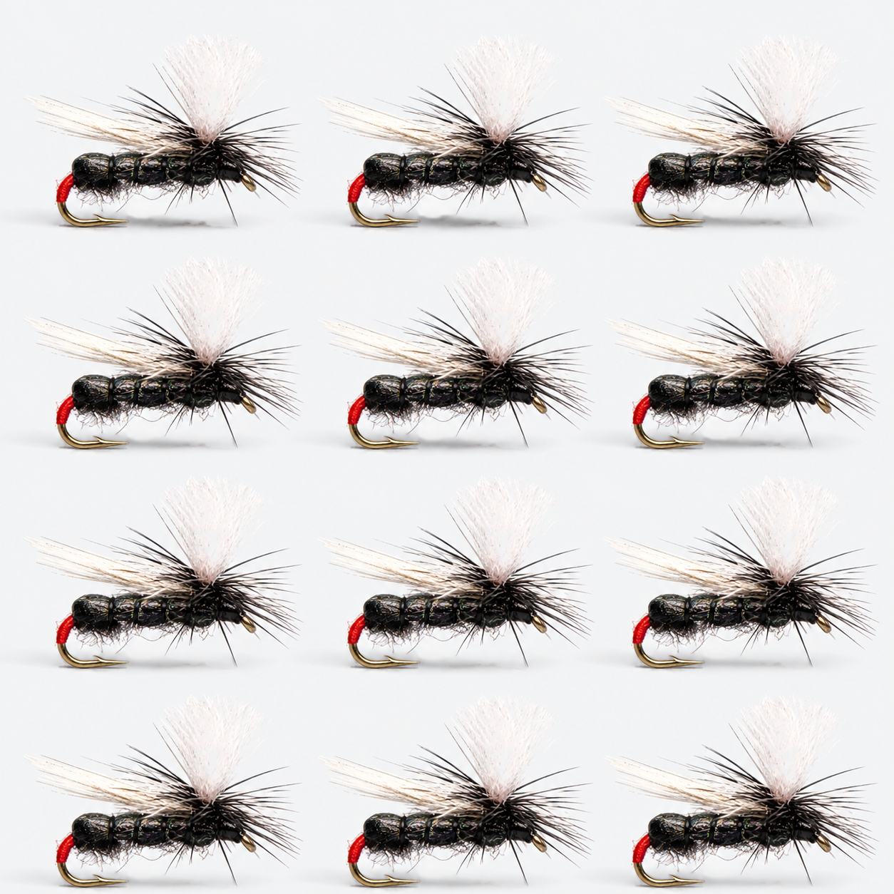 12 Pack Black Ant — 12 flies, blackant pack layout