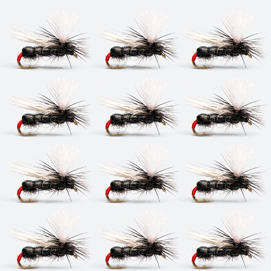 12 Pack Black Ant — 12 flies, blackant pack layout