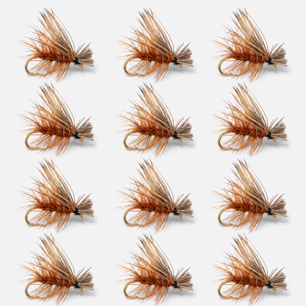 12 Pack Elk Hair Caddis — 12 flies, elk brown pack layout