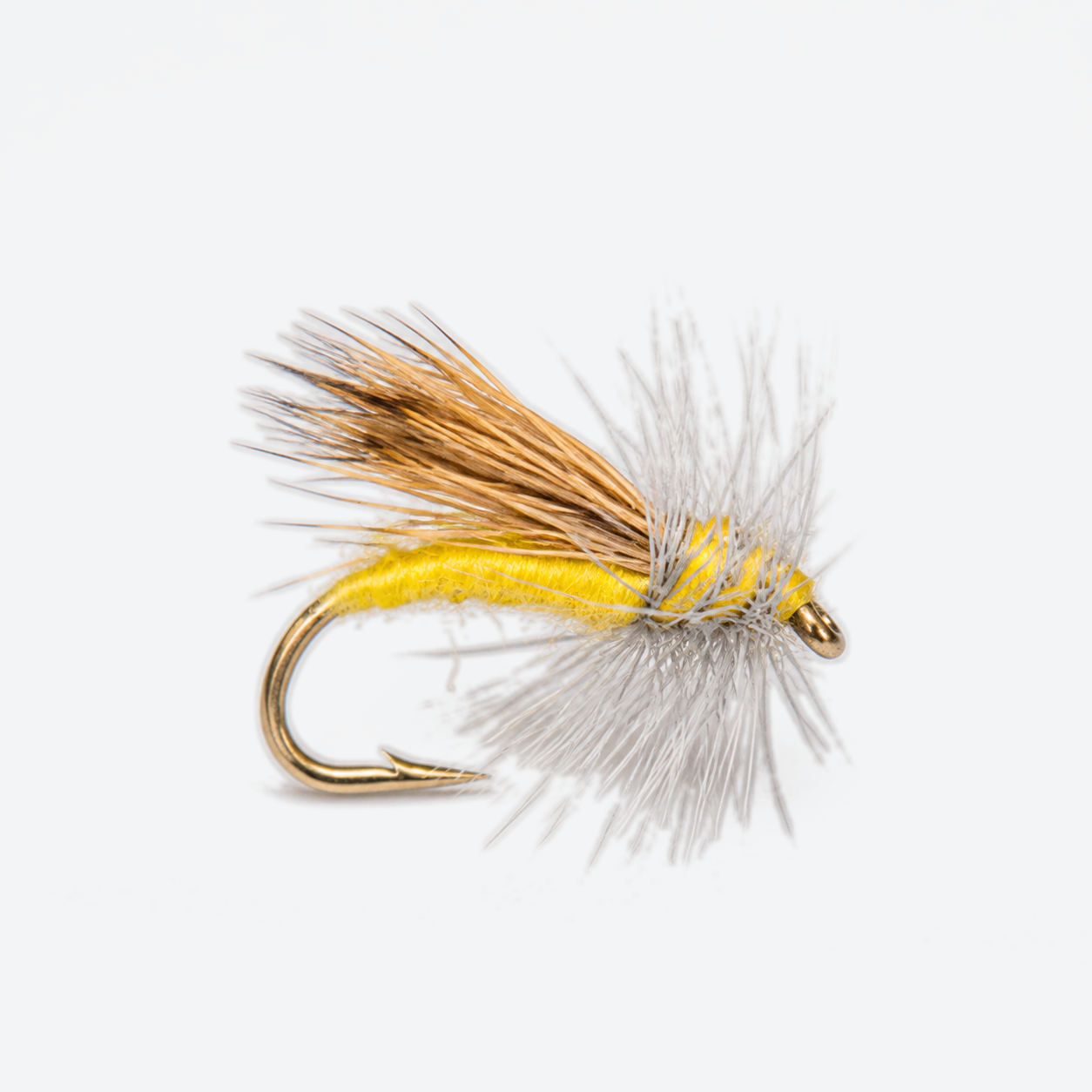 Yellow Sally