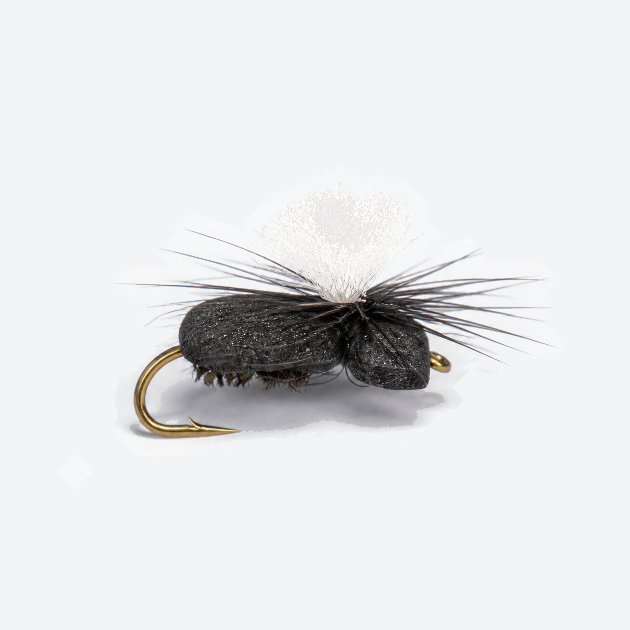 Foam Beetle
