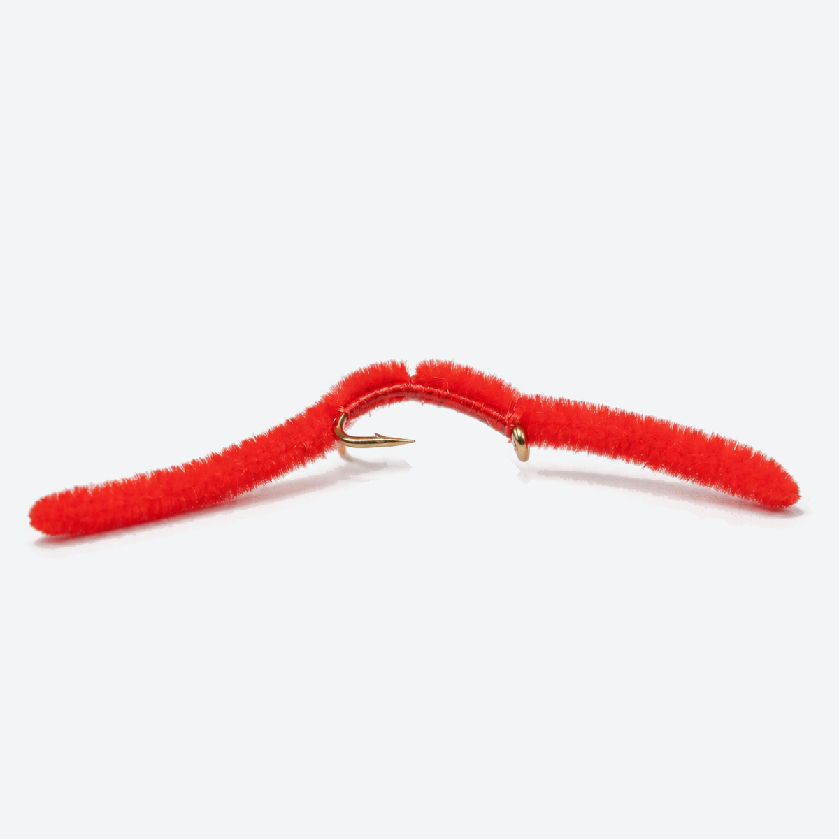 San Juan Worm
