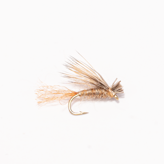 X Caddis (Caddis Emerger)