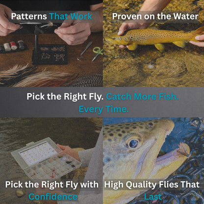 152-Piece Fly Fishing Flies Kit with Premium Storage Box for Trout, Bass & Panfish