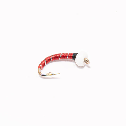 Ice Cream Cone Chironomid – Red