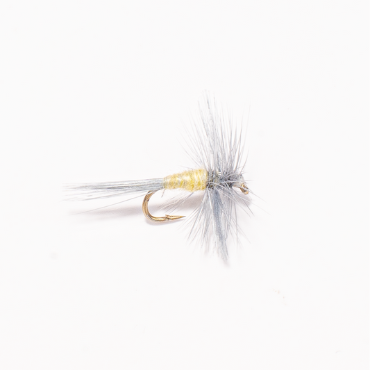 PMD (Pale Morning Dun) Dry Fly