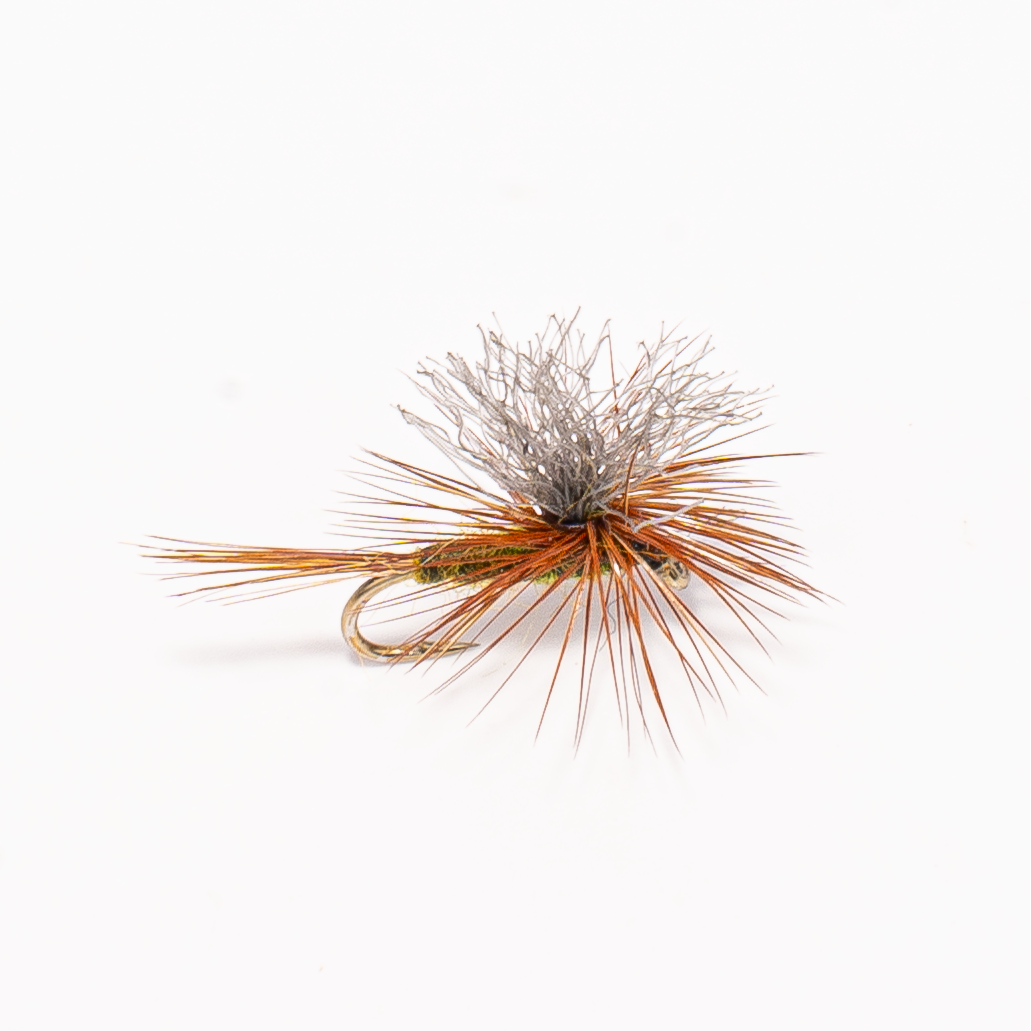 Green Drake Dry Fly – Large Mayfly Imitation for Trout