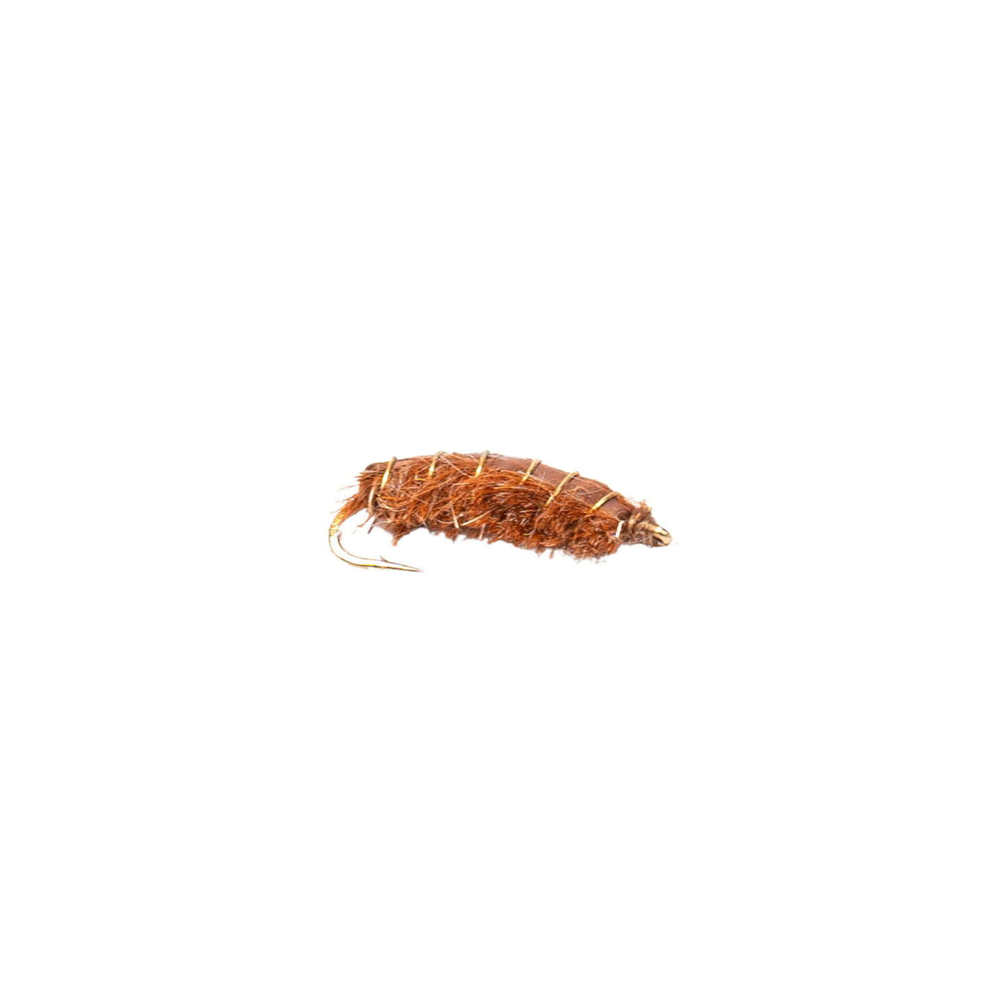 Rouse's J-Dub Sow Bug