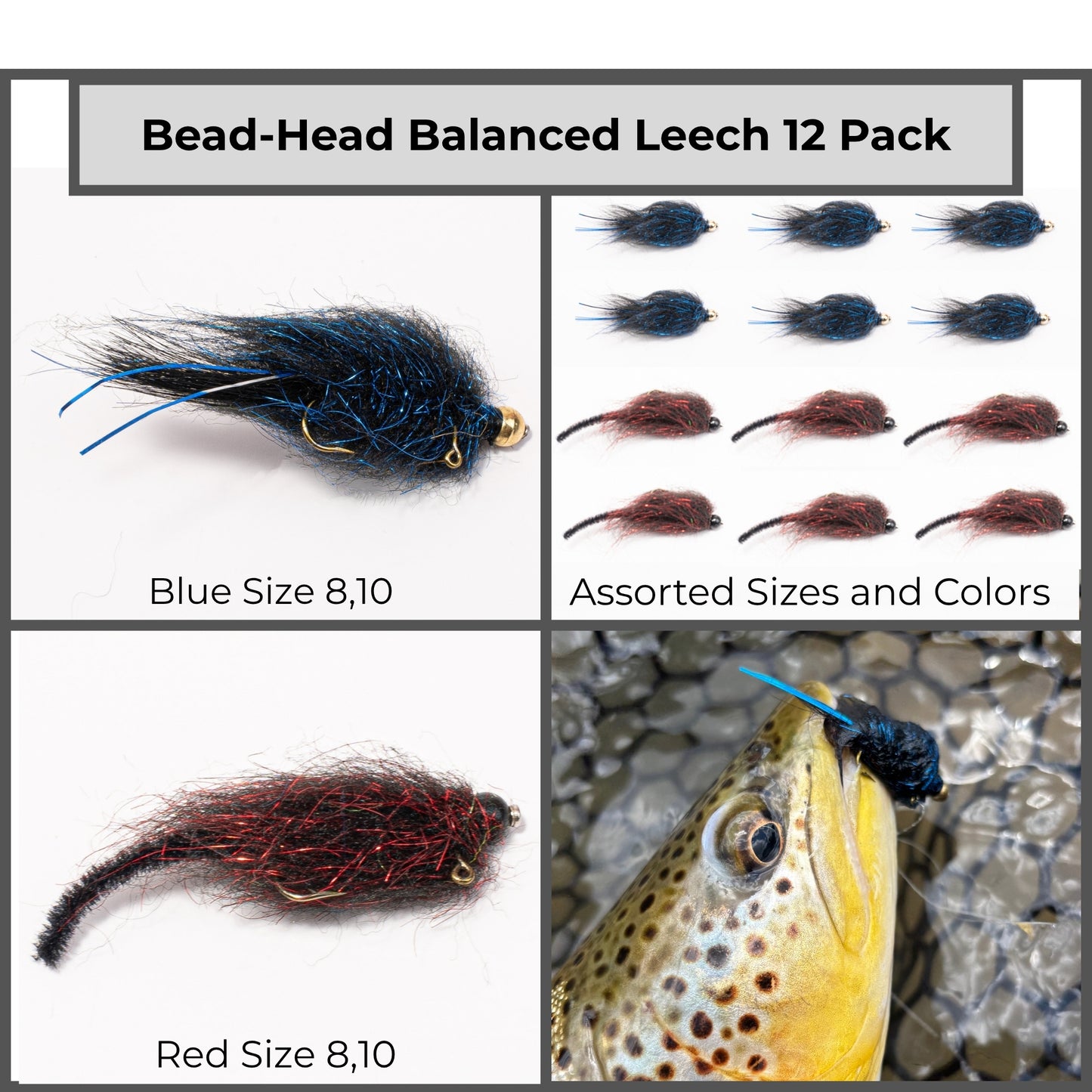 12-Pack Balanced Leech