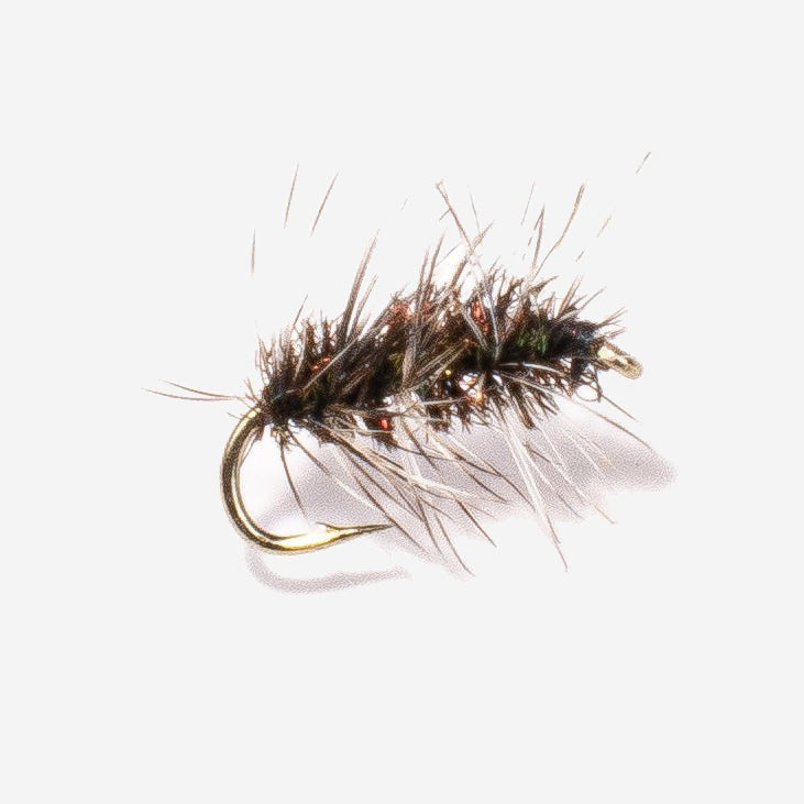 Griffith Gnat