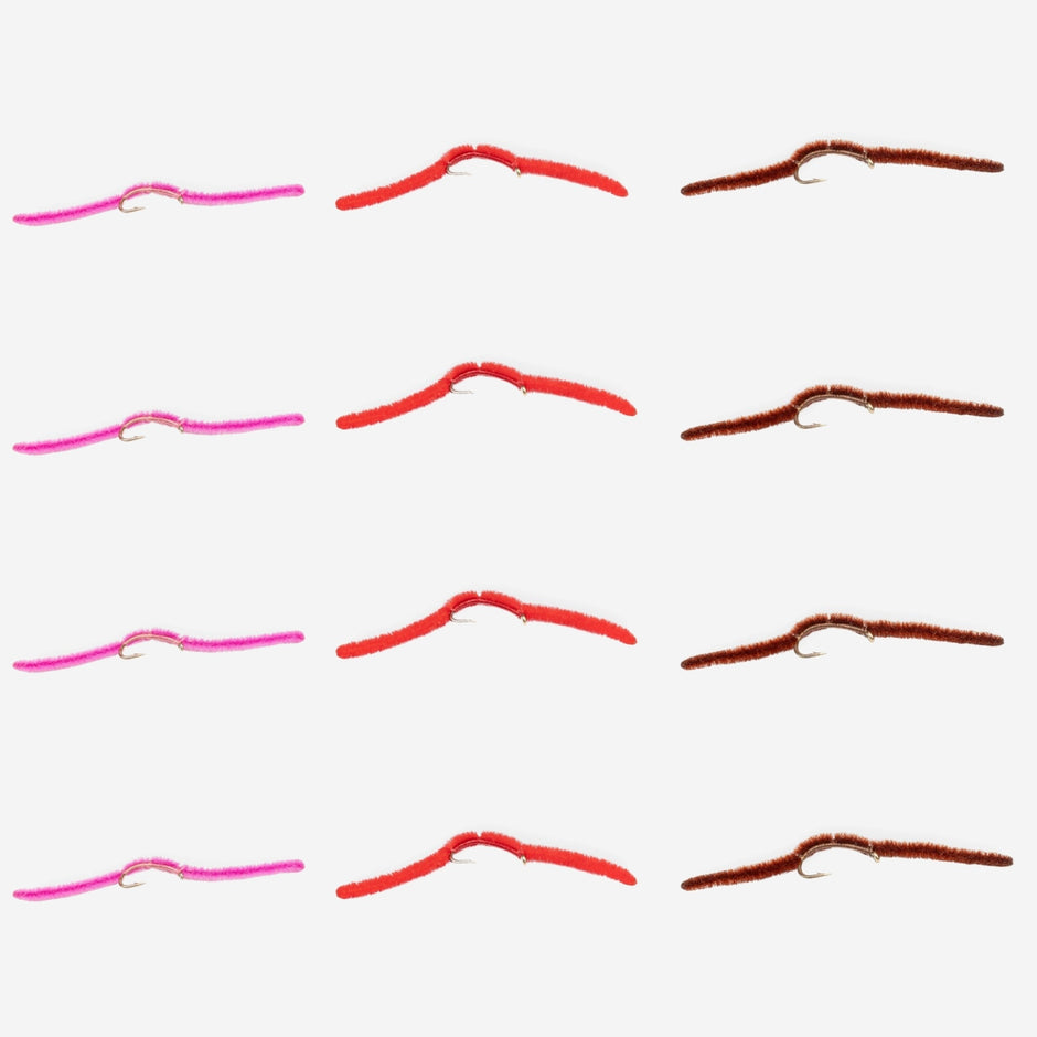 12-Pack San Juan Worm