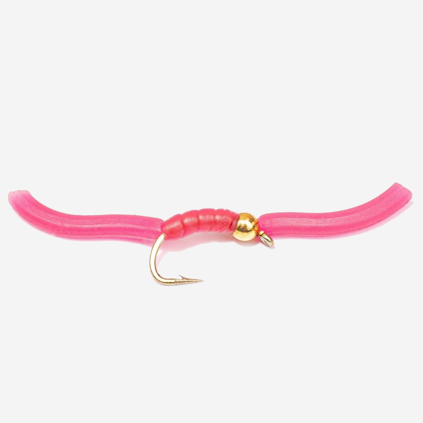 Squirmy Worm