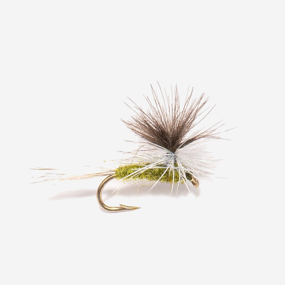 Parachute BWO
