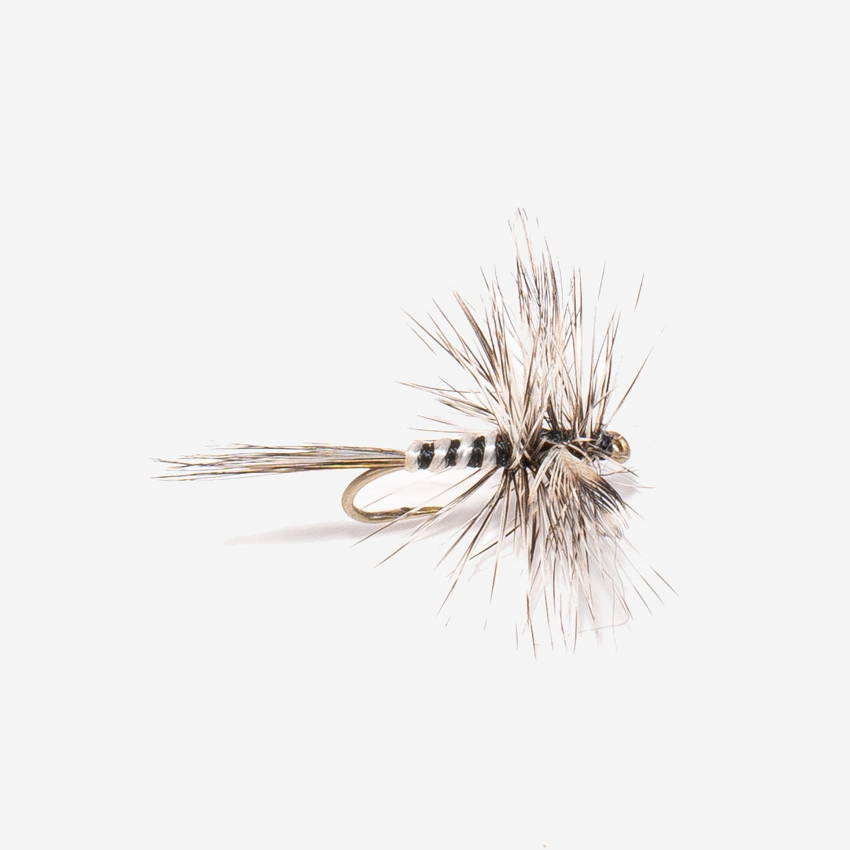 Mosquito