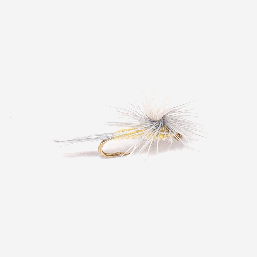 Parachute PMD