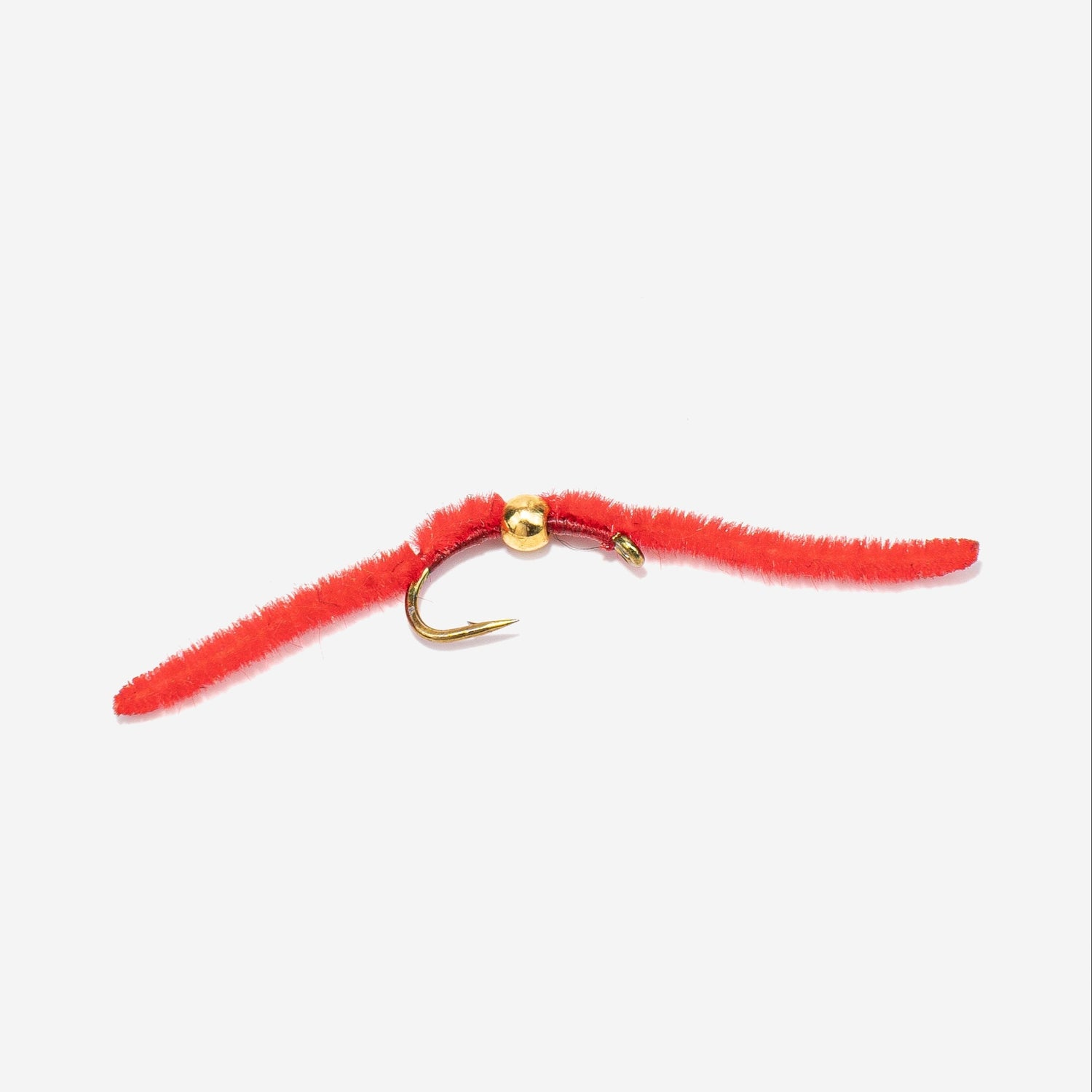 San Juan Worm