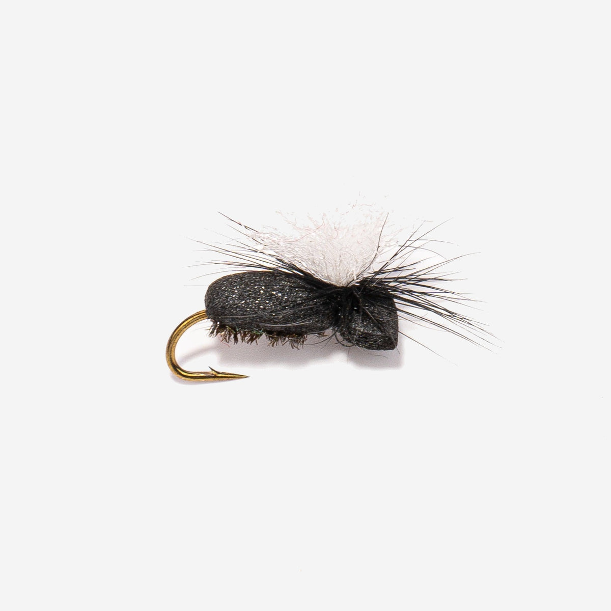 Foam Beetle