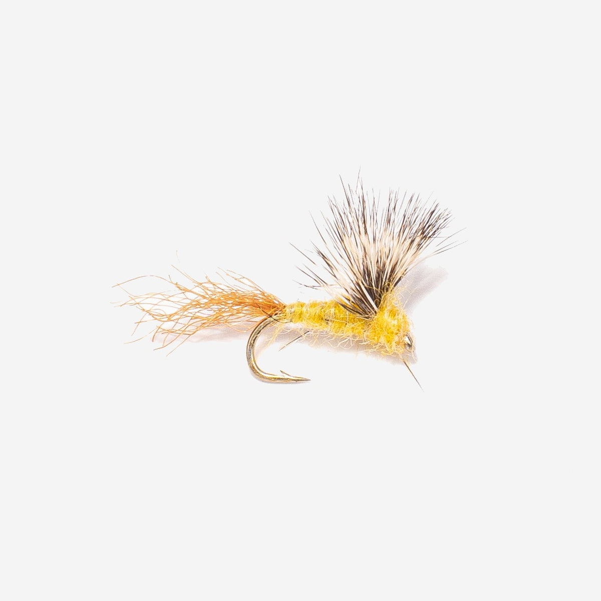 Sparkle Dun - PMD