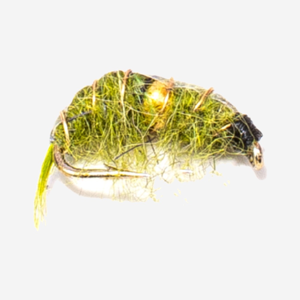Bead Body Scud