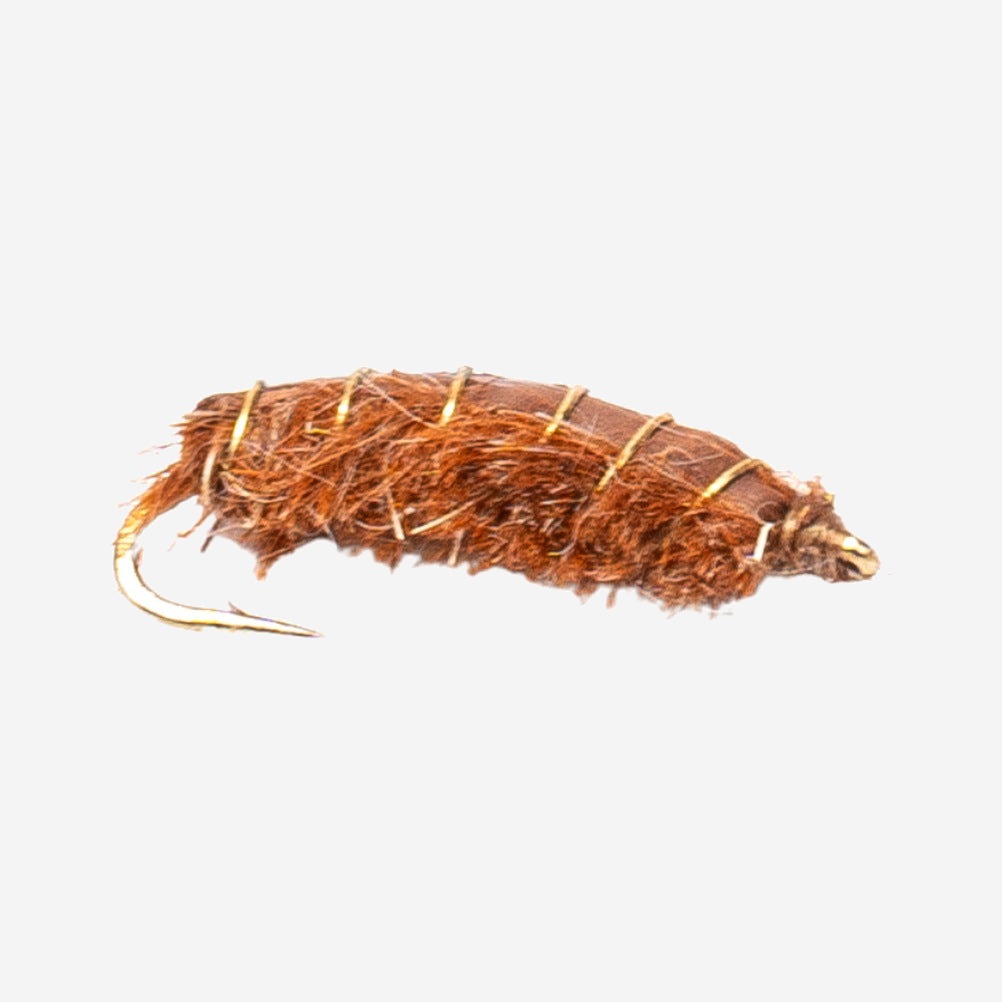 Rouse's J-Dub Sow Bug